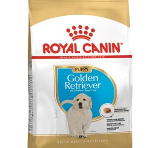 Golden Retriever Puppy - Royal Canin