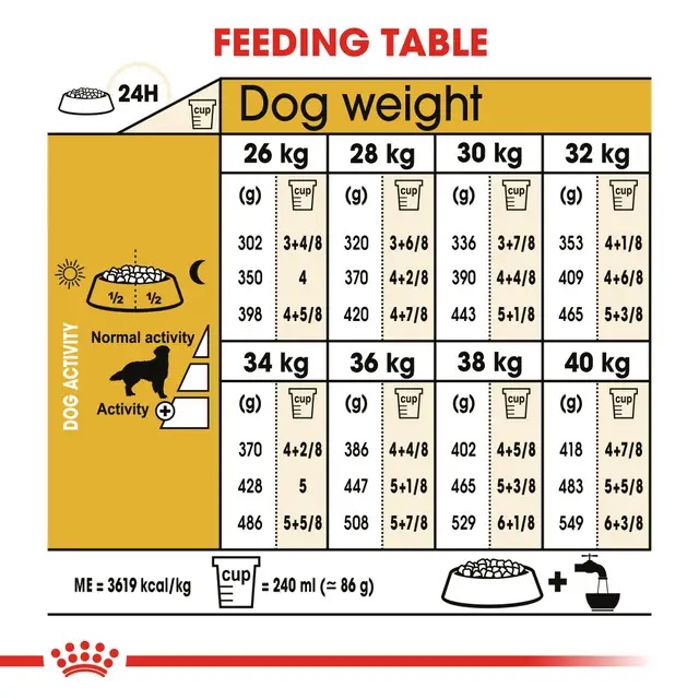 Royal Canin – Golden Retriever 2
