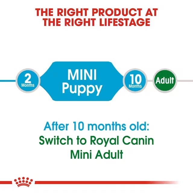 Royal Canin – Mini Puppy – 2
